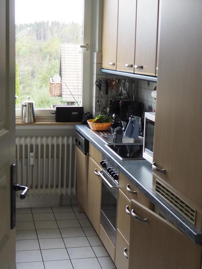 Ferienwohnung Am Kunstberg 29 Altenau  Ngoại thất bức ảnh